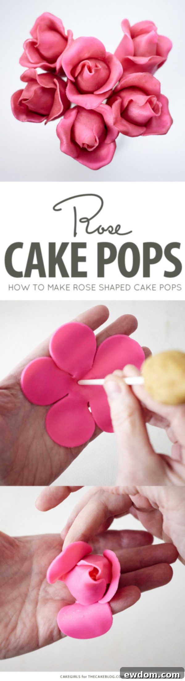 Blossom Cake Pops 2 DIY Rose Cake Pops, an adorable dessert for Valentine's Day, Mother's Day and bridal showers | by Cakegirls for TheCakeBlog.com