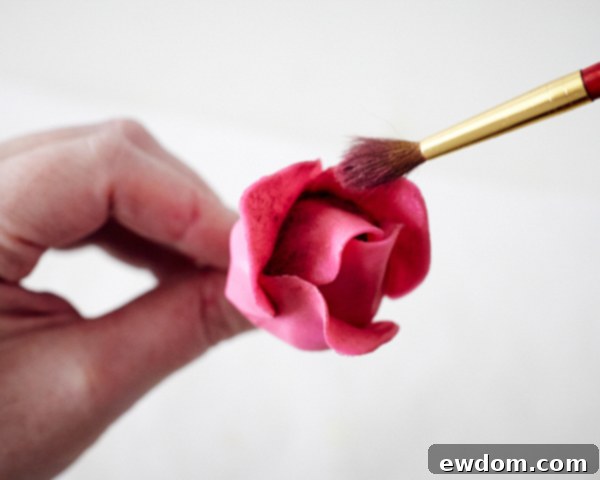 Blossom Cake Pops 20 Applying tulip red luster dust to the inside and edges of a rose cake pop with a dry paintbrush.