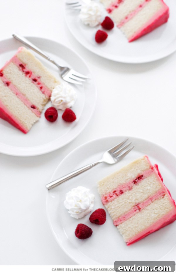 Pink Champagne Raspberry Dream 5 The Raspberry Champagne Cake presented on an elegant cake stand, garnished with fresh raspberries and a hint of whipped cream.