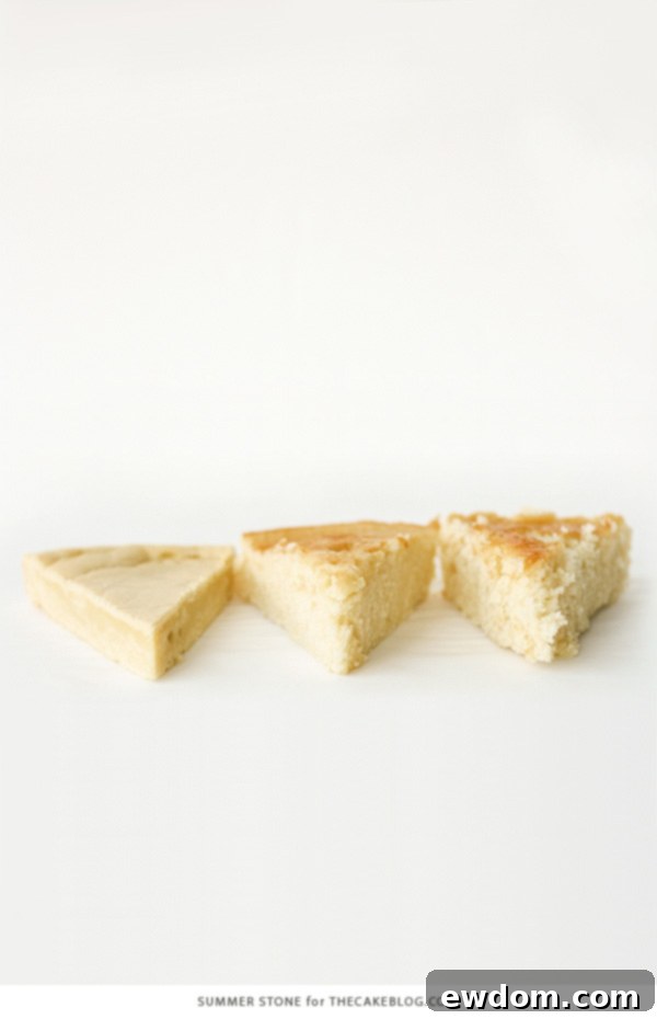 The Sweet Architect: How Sugar Builds Your Cake 3 A Sweet Impact - how sugar adds more than just sweetness to a cake recipe | by Summer Stone for TheCakeBlog.com