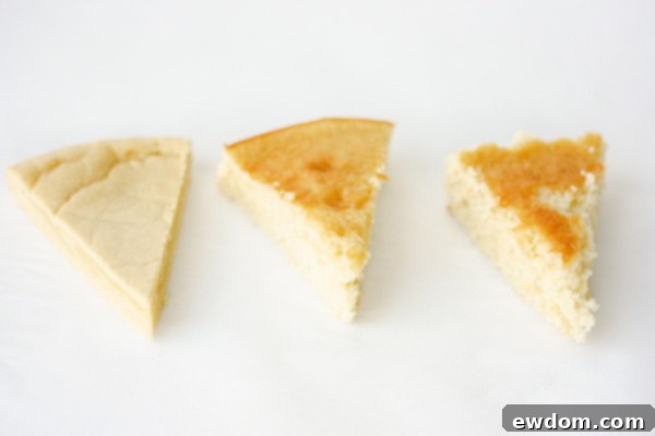 The Sweet Architect: How Sugar Builds Your Cake 6 A Sweet Impact - how sugar adds more than just sweetness to a cake recipe | by Summer Stone for TheCakeBlog.com