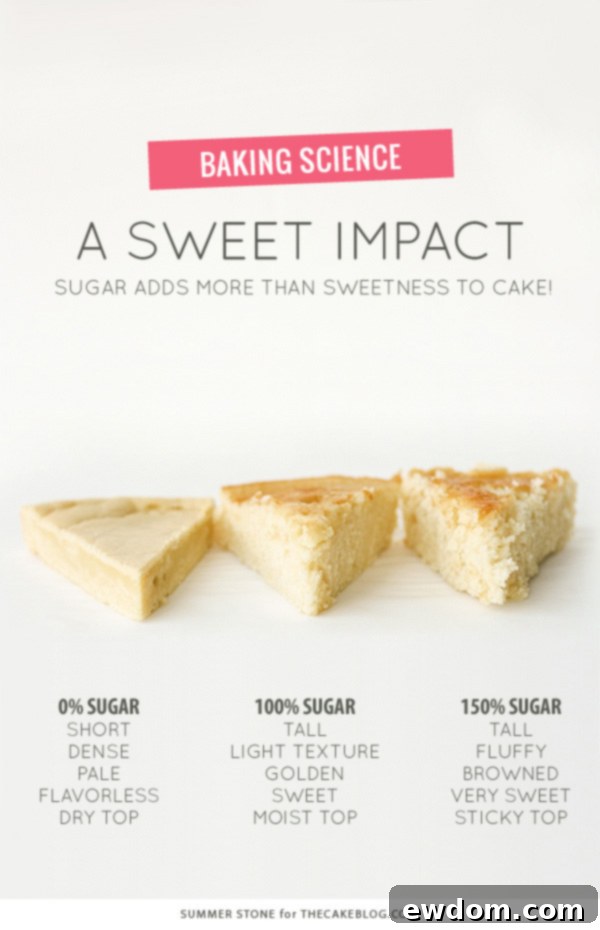 The Sweet Architect: How Sugar Builds Your Cake 7 A Sweet Impact - how sugar adds more than just sweetness to a cake recipe | by Summer Stone for TheCakeBlog.com