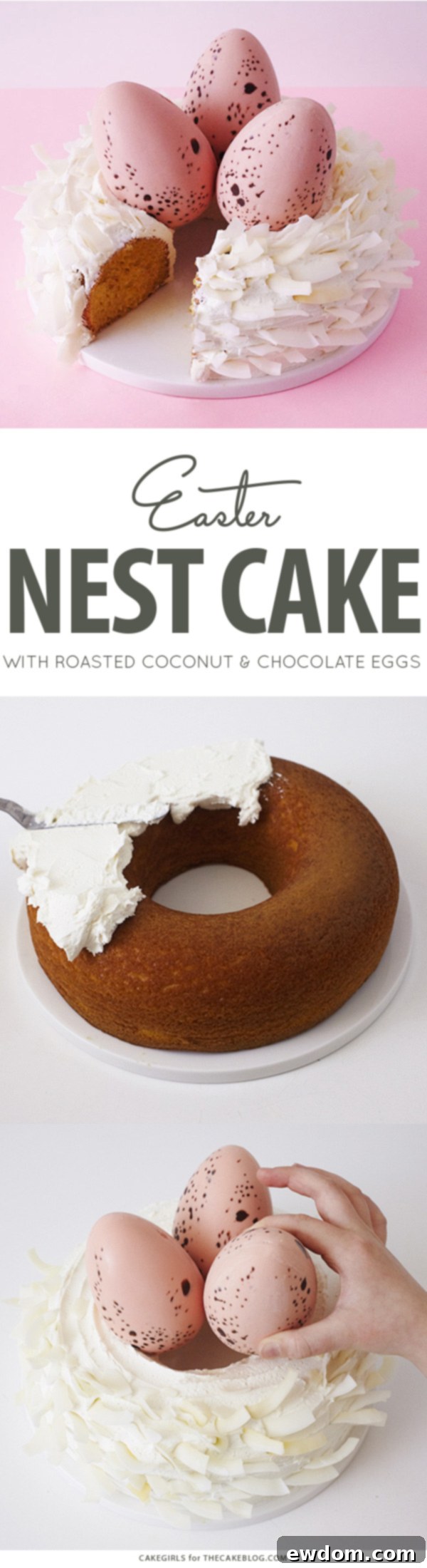 Easter Nest Cake - A stunning centerpiece dessert featuring roasted coconut and speckled chocolate eggs for Easter celebrations, perfect for your holiday table.