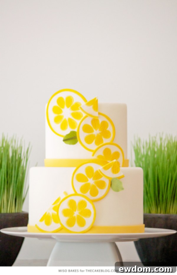 Refreshing summery cake adorned with bright, vivid lemon slices by Miso Bakes, a fun and vibrant design.