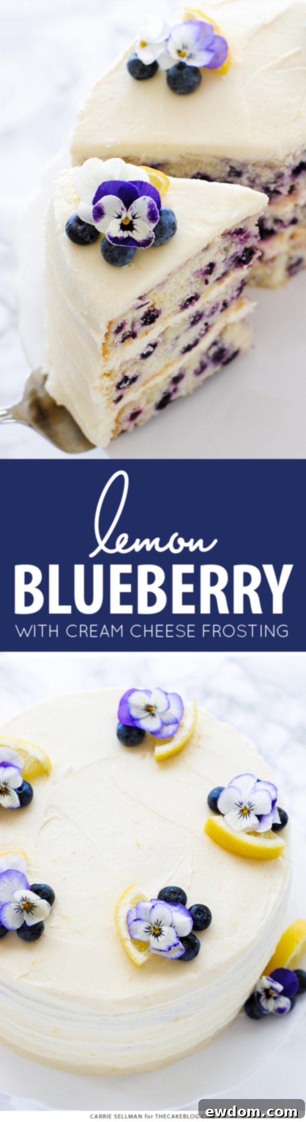 Lemon Blueberry Bliss 2 Hidden image for Lemon Blueberry Cake promotion