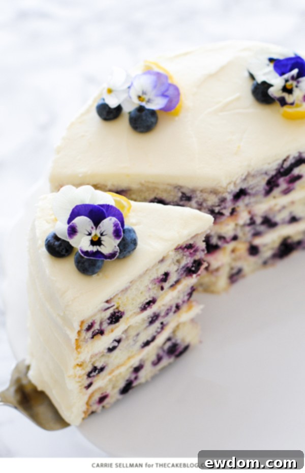 Lemon Blueberry Bliss 11 A final close-up of the delicious Lemon Blueberry Cake, emphasizing its irresistible texture and fresh flavors.