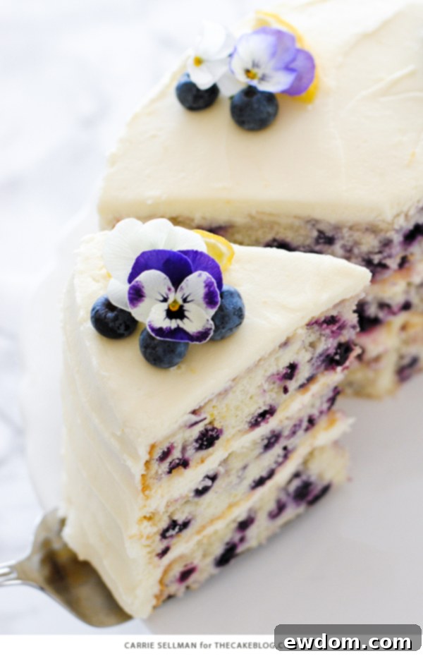 Lemon Blueberry Bliss 4 Close-up shot of a slice of Lemon Blueberry Cake, showing the moist crumb, embedded wild blueberries, and the thick cream cheese frosting.