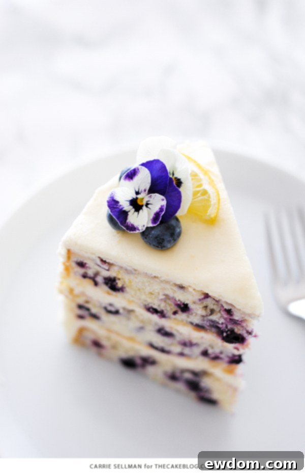Lemon Blueberry Bliss 7 Top-down view of the rustic frosted Lemon Blueberry Cake, garnished with vibrant fresh fruit and edible blossoms.