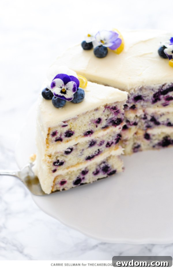 Lemon Blueberry Bliss 9 A perfectly portioned slice of Lemon Blueberry Cake on a plate, ready to be enjoyed.