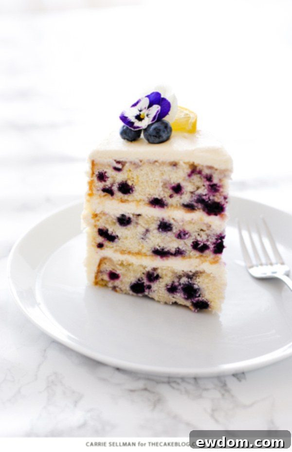 Lemon Blueberry Bliss 10 An enticing overhead shot of the Lemon Blueberry Cake, showing its generous frosting and vibrant fruit garnishes.
