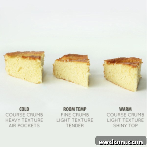 Why Ingredient Temperature Could Make or Break Your Dish 11 The Final Conclusion: Room Temperature Ingredients are Essential for Superior Cake Baking