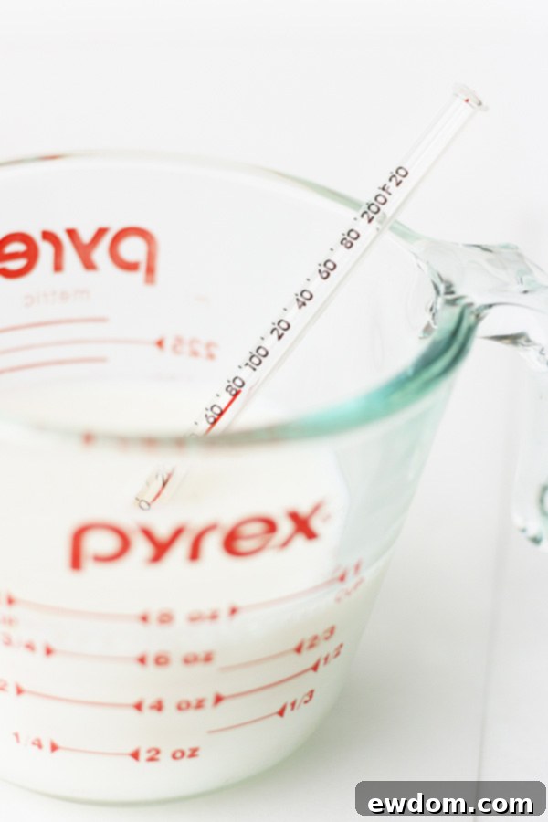 Why Ingredient Temperature Could Make or Break Your Dish 4 Key Factors: Fluidity, Emulsification, and Dissolving Affected by Ingredient Temperature