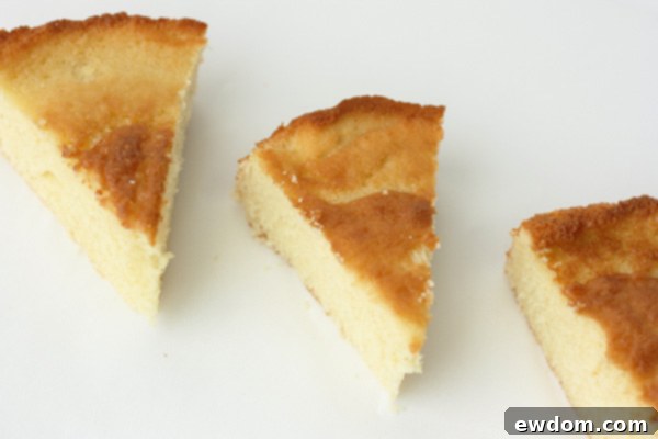 Why Ingredient Temperature Could Make or Break Your Dish 7 Comparing the Coarse Texture of a Cake Made with Cold Ingredients