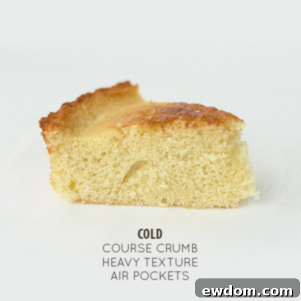 Why Ingredient Temperature Could Make or Break Your Dish 8 The Fine, Tender Crumb of a Cake Baked with Perfect Room Temperature Ingredients