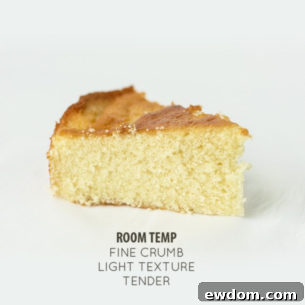 Why Ingredient Temperature Could Make or Break Your Dish 9 Analyzing the Slightly Coarser Texture of a Warm Ingredient Cake