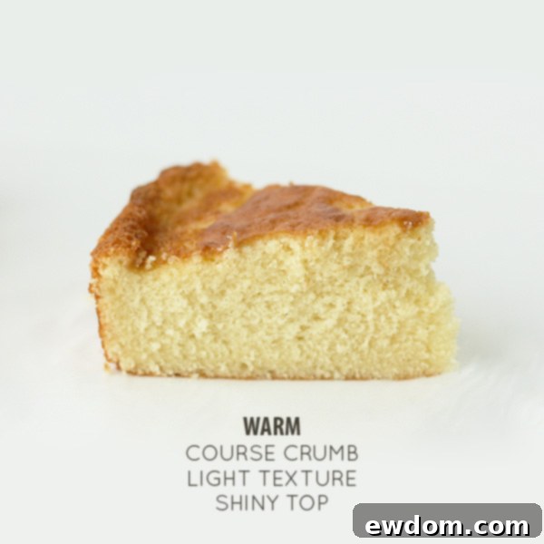 Why Ingredient Temperature Could Make or Break Your Dish 10 Summary of Ingredient Temperature Effects on Cake Texture and Mouthfeel