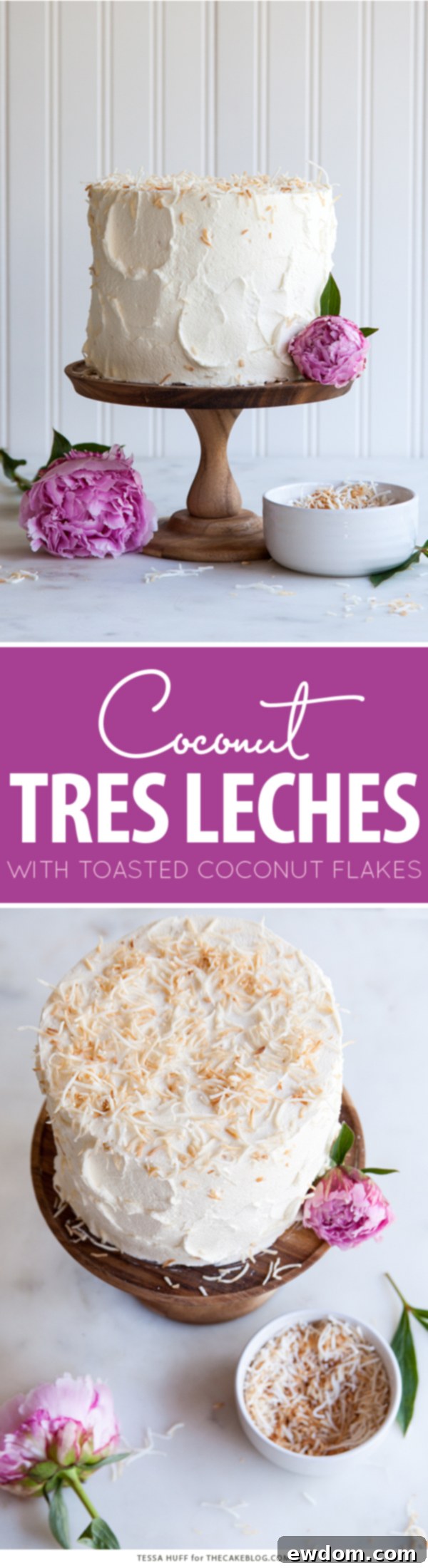 Tropical Coconut Tres Leches Cake 2 Exquisite Coconut Tres Leches Cake with fluffy whipped cream and toasted coconut flakes, a tropical dessert masterpiece by Tessa Huff for TheCakeBlog.com