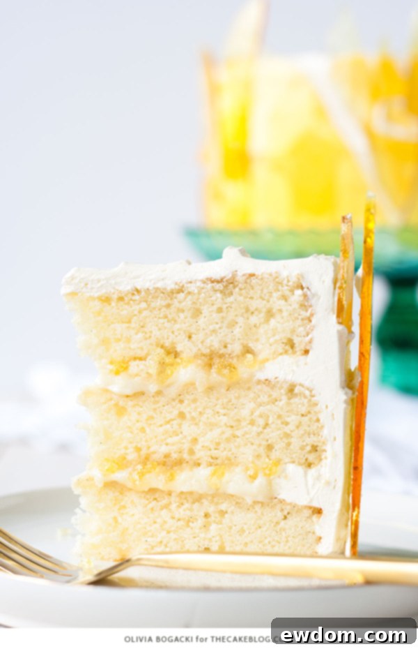 Caramelized Custard Dream Cake 6 Crème Brûlée Cake featuring vanilla bean cake, creamy vanilla custard, and elegant caramel decorations. A dessert by Olivia Bogacki