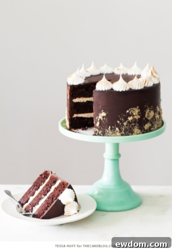 S'mores Cake - s'more inspired layer cake recipe with chocolate cake, graham cracker buttercream, chocolate ganache and toasted marshmallow meringue | by Tessa Huff for TheCakeBlog.com
