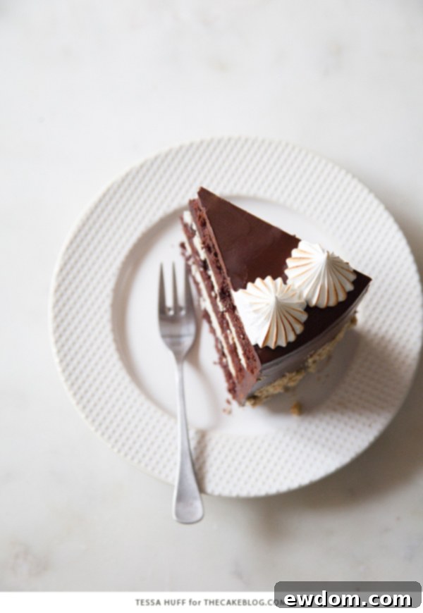 S'mores Cake - s'more inspired layer cake recipe with chocolate cake, graham cracker buttercream, chocolate ganache and toasted marshmallow meringue | by Tessa Huff for TheCakeBlog.com