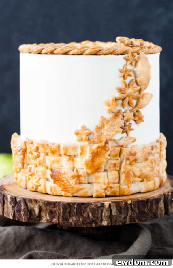 Detailed shot of the handcrafted pie crust lattice and braid decorating the Apple Pie Cake, showcasing intricate baking techniques