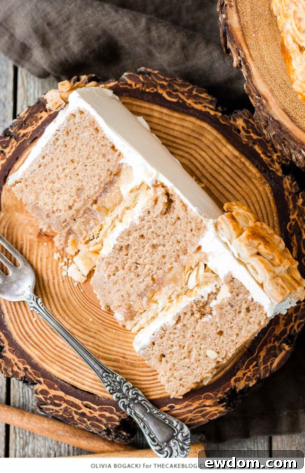 A top-down view of the Apple Pie Cake, highlighting the circular pie crust braid and decorative elements