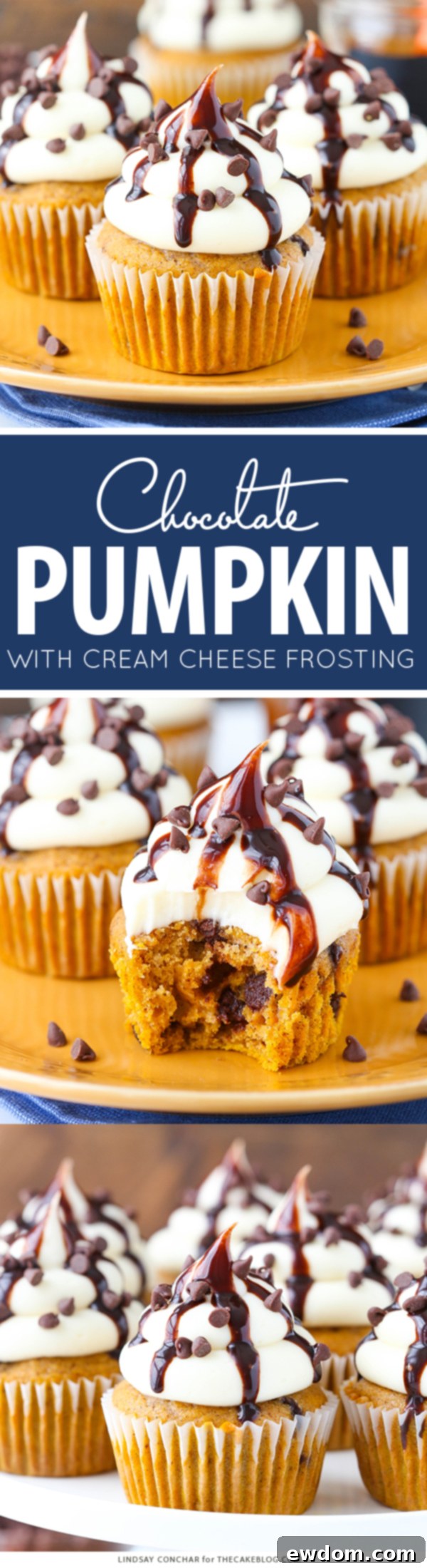 Moist pumpkin chocolate chip cupcakes with cream cheese frosting and chocolate drizzle, perfect for fall