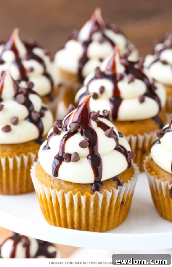 Close-up of a beautifully frosted pumpkin chocolate chip cupcake, ready to be enjoyed