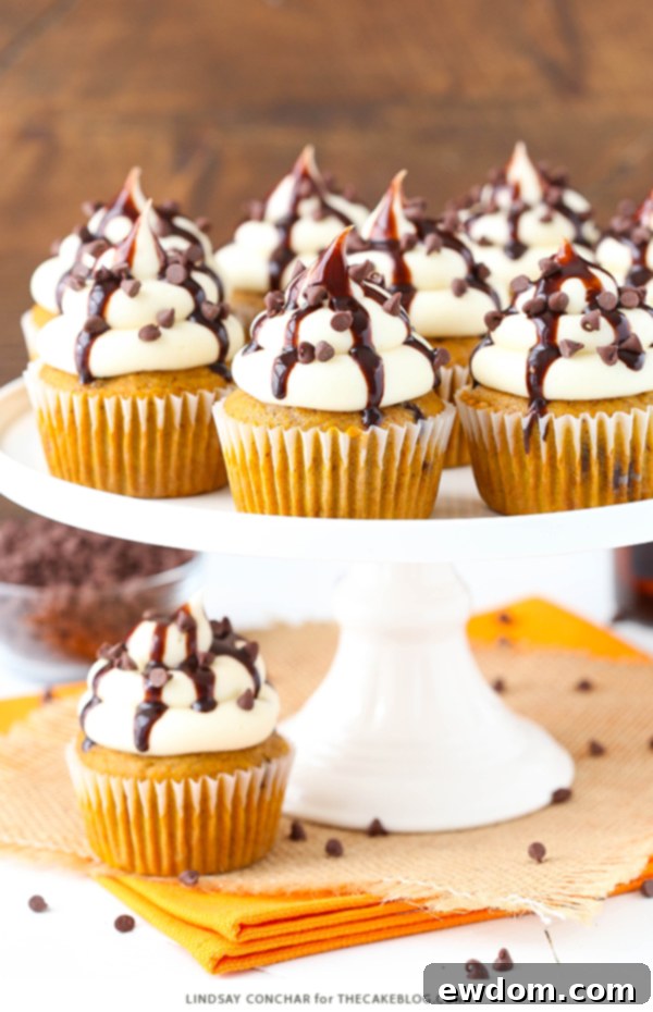 A tray of freshly baked pumpkin chocolate chip cupcakes, ready for frosting