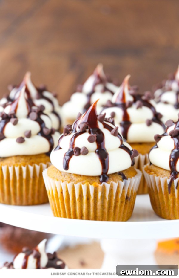 Unfrosted pumpkin cupcakes studded with visible chocolate chips on a cooling rack