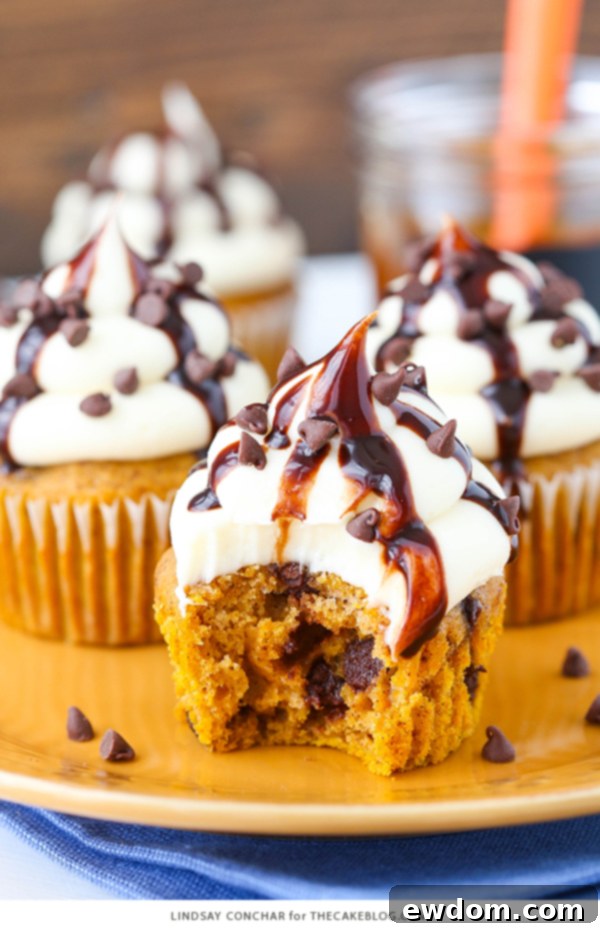 Unfrosted pumpkin chocolate chip cupcakes cooling on a wire rack