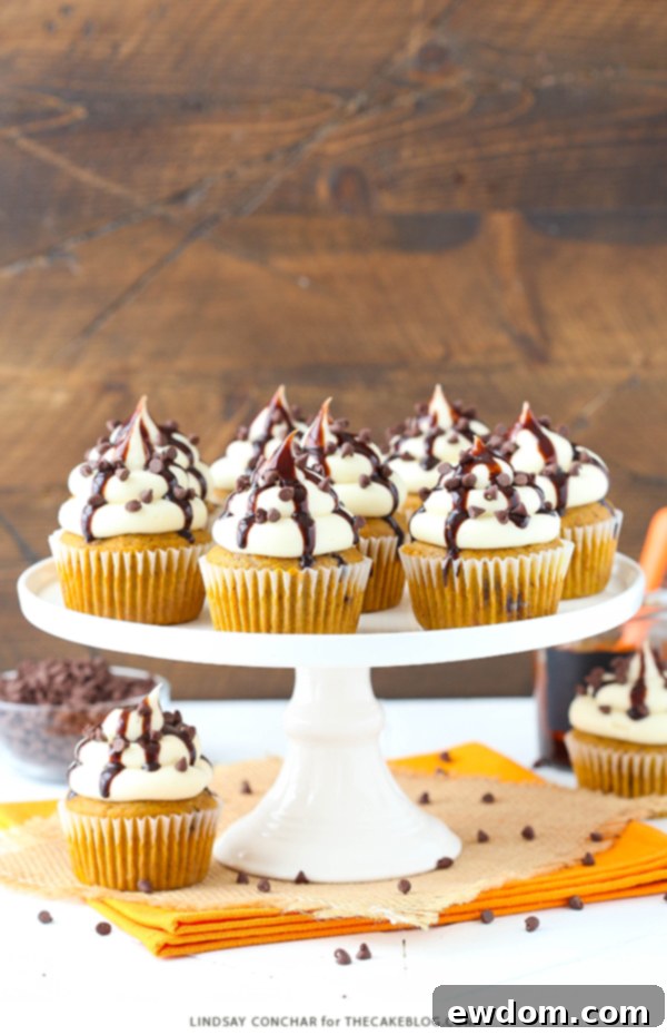 Two frosted pumpkin chocolate chip cupcakes with chocolate drizzle on a white plate