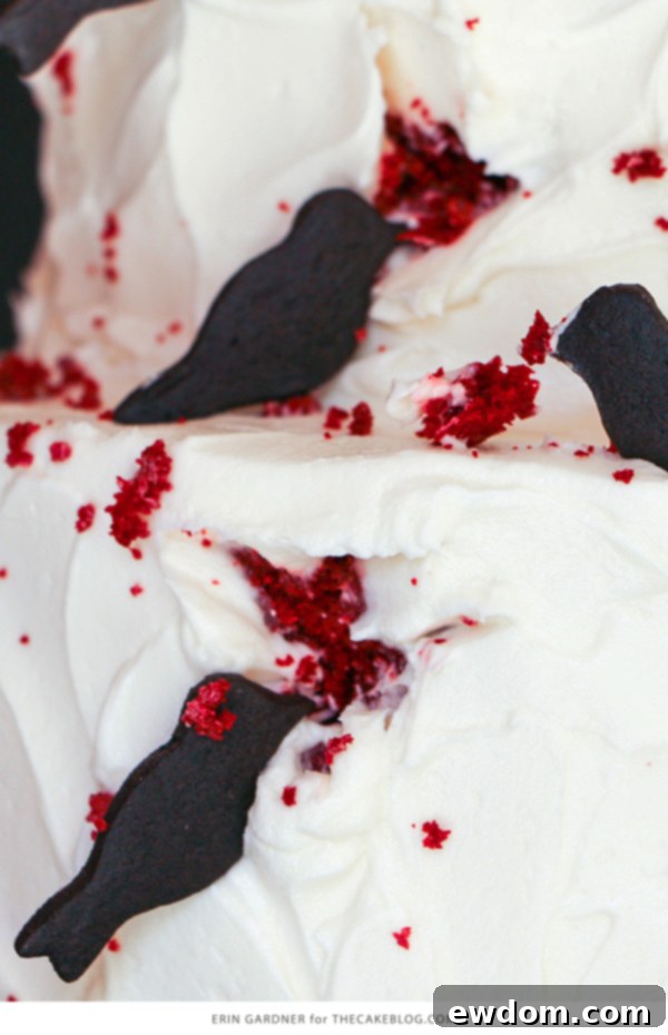 Tiered red velvet cake with black bird cookies attacking the sides, Halloween dessert idea