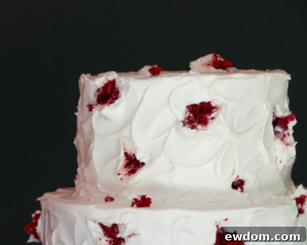 Closer look at the gouged holes in the red velvet cake, ready for bird cookies