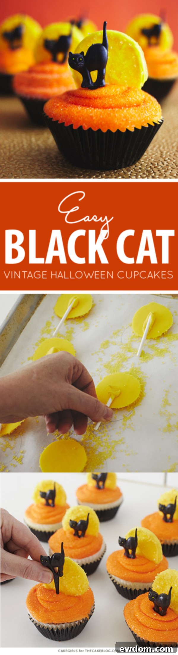Black Cat Halloween Cupcakes | by Cakegirls for TheCakeBlog.com