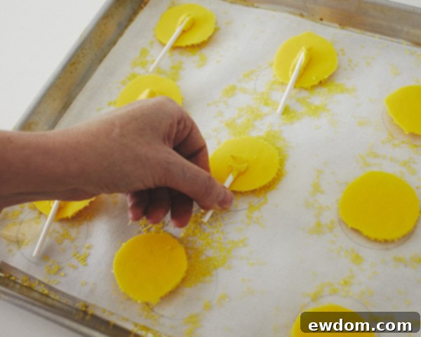 Close-up of Sucker Stick Adhered to the Back of a Candy Moon