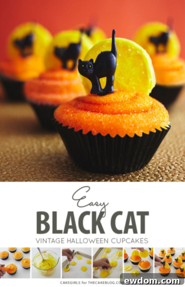 Delicious Black Cat Halloween Cupcakes with Orange Frosting and Sparkling Moons