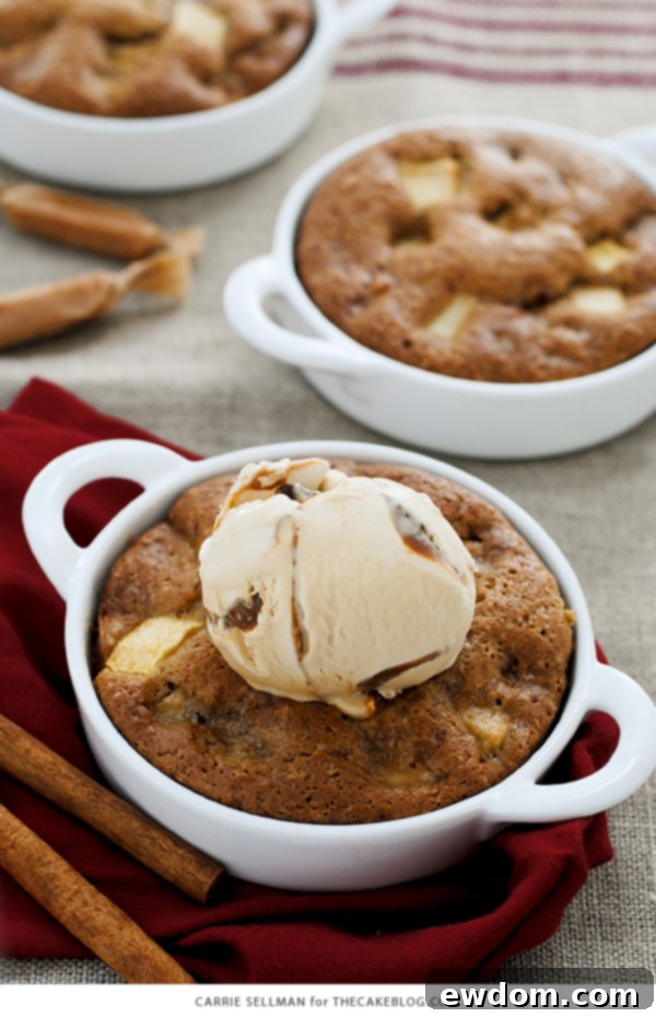 Close-up of warm apple cake with golden brown crust