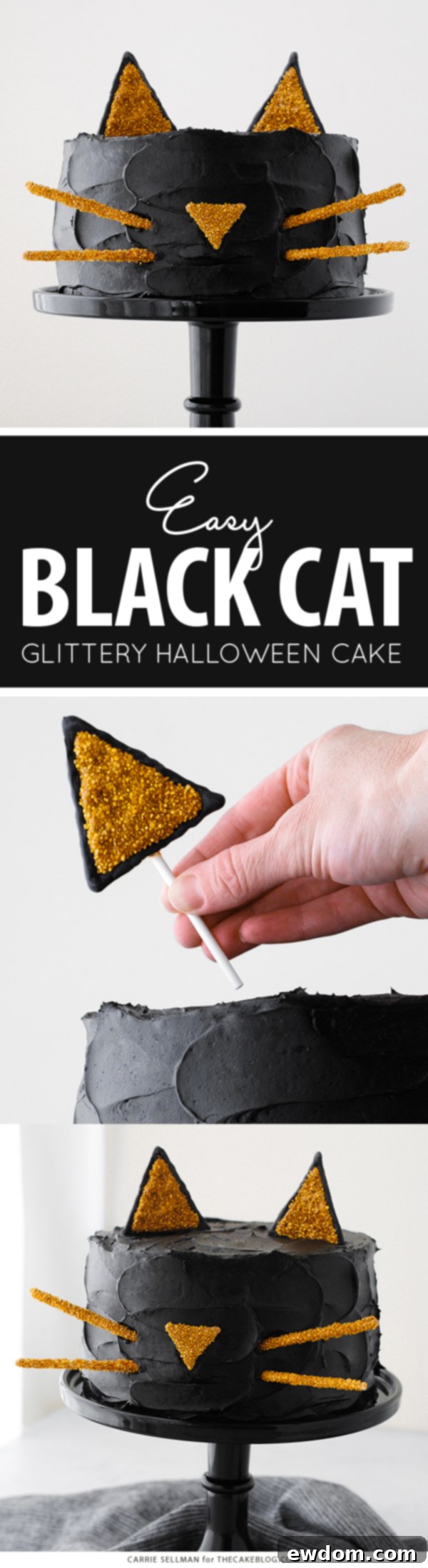 Purrfect Black Cat Cake 2 Black Cat Cake | Carrie Sellman for TheCakeBlog.com