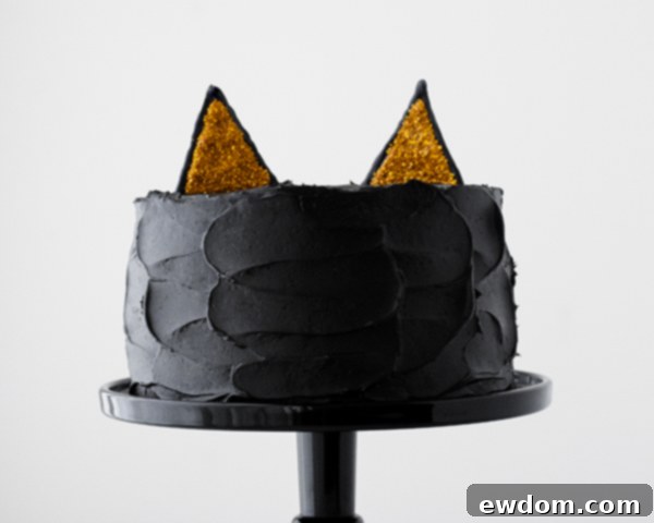 Purrfect Black Cat Cake 20 Black Cat Cake | Carrie Sellman for TheCakeBlog.com