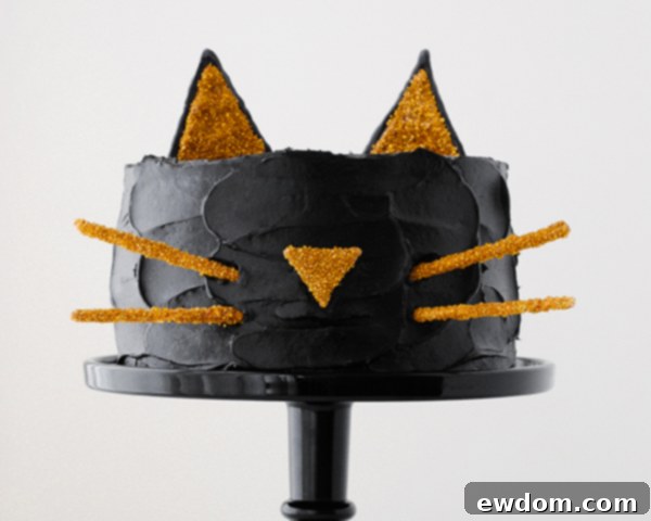 Purrfect Black Cat Cake 23 Black Cat Cake | Carrie Sellman for TheCakeBlog.com