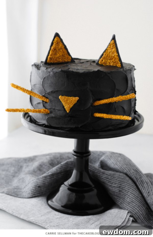 Purrfect Black Cat Cake 4 Black Cat Cake | Carrie Sellman for TheCakeBlog.com