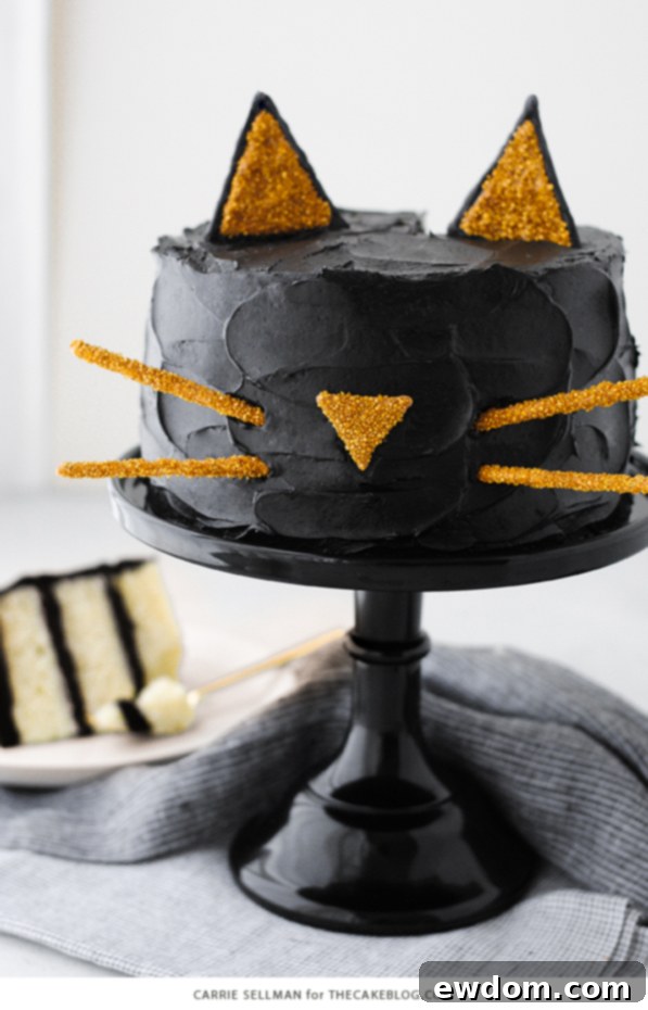 Purrfect Black Cat Cake 6 Black Cat Cake | Carrie Sellman for TheCakeBlog.com
