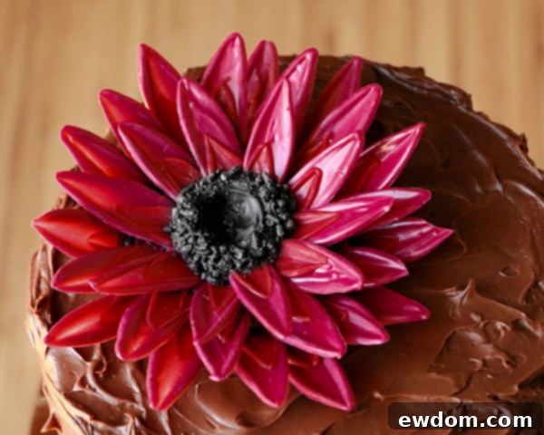 Finished giant chocolate sunflower cake, ready for display, with a fresh buttercream base