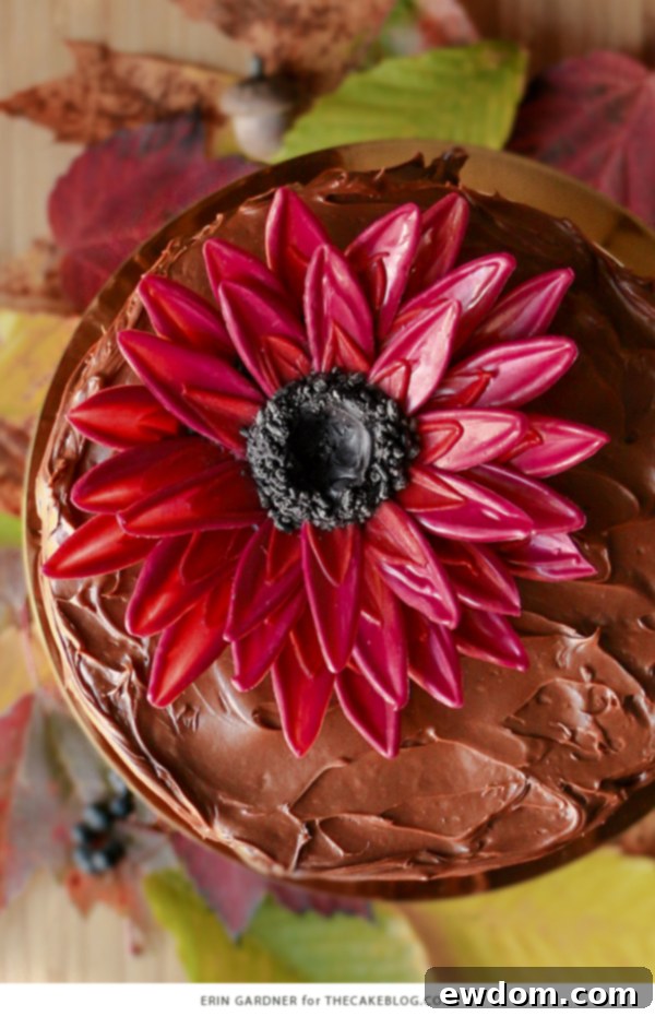 Close-up of the giant chocolate sunflower with intricate petal details and textured center