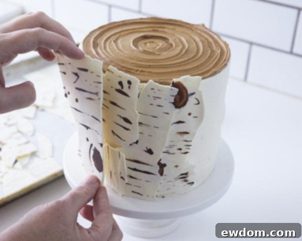 Birch Log Cake! Learn how to make this wintry, birch cake that looks just like a natural birch branch | by Cakegirls for TheCakeBlog.com