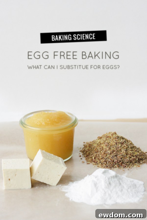 Eggless Baking 2 Egg Free Baking | Egg substitutions and alternatives | by Summer Stone for TheCakeBlog.com
