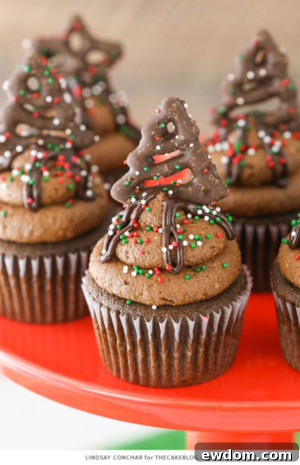 Chocolate Pretzel Cupcakes - overhead view with ganache and pretzel topper