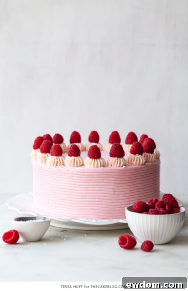 Chocolate Raspberry Cake - moist chocolate cake layered with raspberry jam, topped with raspberry cheesecake frosting and fresh red raspberries | by Tessa Huff for TheCakeBlog.com