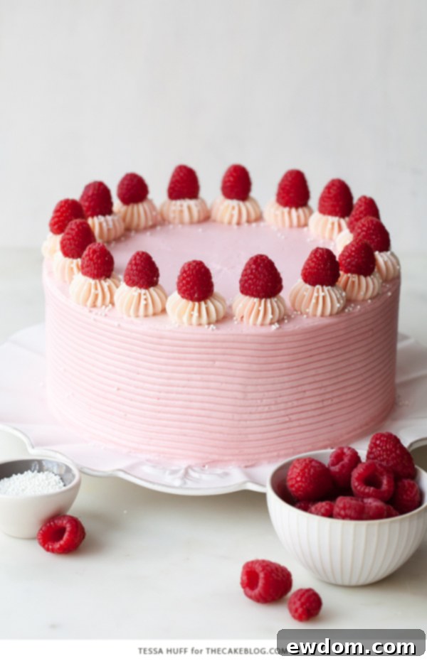 Chocolate Raspberry Cake - moist chocolate cake layered with raspberry jam, topped with raspberry cheesecake frosting and fresh red raspberries | by Tessa Huff for TheCakeBlog.com